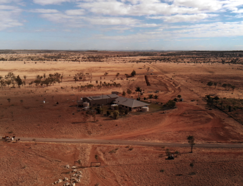 Built for Here: Aussie Copper for Aussie Conditions